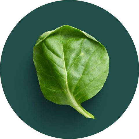 Leafy Greens - The Indian Organics