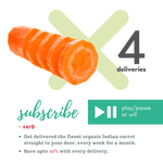 Carrot - The Indian Organics