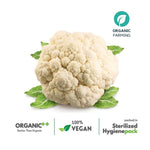 Cauliflower - The Indian Organics