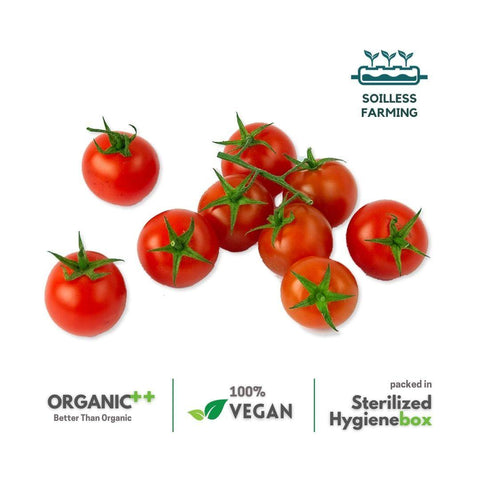 Cherry Tomato Exotic Red - The Indian Organics