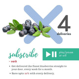 Delightful Blueberries - The Indian Organics