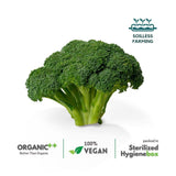 Exotic Broccoli - The Indian Organics