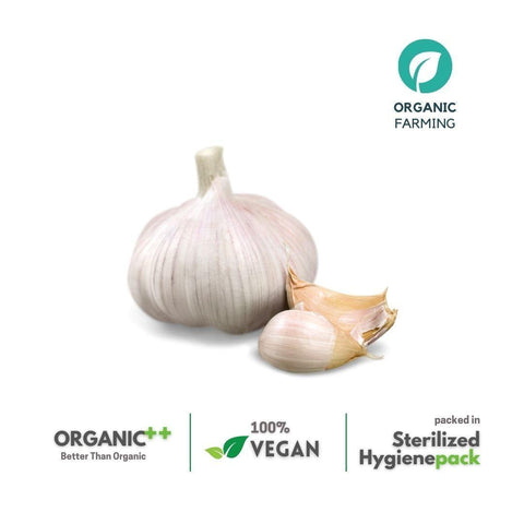 Garlic - The Indian Organics