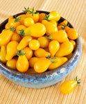Grape Tomato Exotic Yellow - The Indian Organics