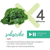 Hail Kale - The Indian Organics