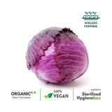 Red Cabbage - The Indian Organics