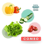 Salad Essential Combo - The Indian Organics